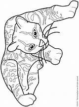 Ocelot Coloring Pages Minecraft Getdrawings Colouring Getcolorings sketch template