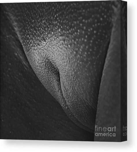 Fineart Closeup Of A Woman S Vagina Canvas Print Canvas