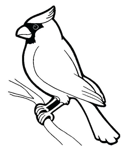 birds   birds kids coloring pages