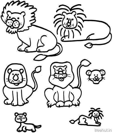 lion  lion face coloring pages