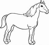 Horse Coloring Pages Printable Mustang Getcolorings Fascinating sketch template