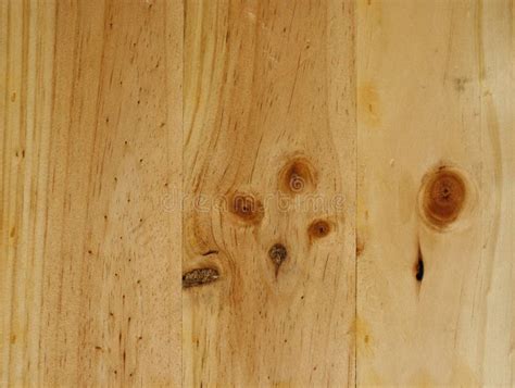 wood texture template stock photo image  detail