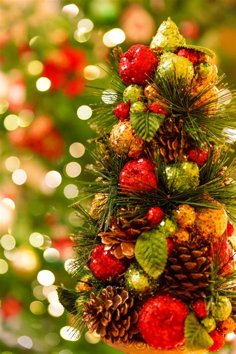 christmas tree  stock photo public domain pictures