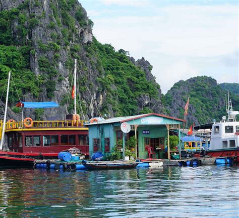 remaining floating villages  halong bay  visit  tips