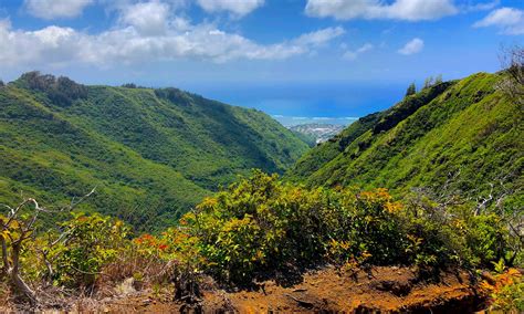 hike guide hawaii loa ridge overly opinionated