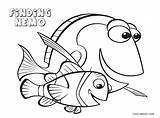 Nemo Cool2bkids Findet Marlin Dory Zum sketch template