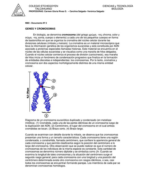 Genes Y Cromosomas En Biología Se Denomina Cromosoma