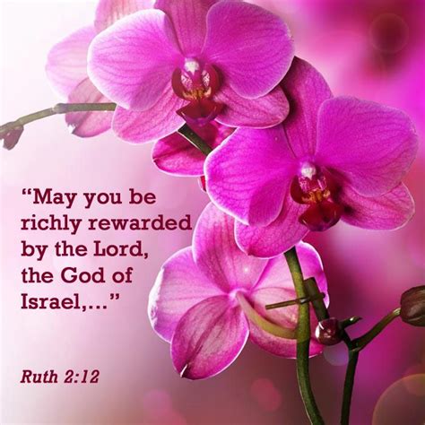 17 best images about bible ruth on pinterest wings israel and worship songs