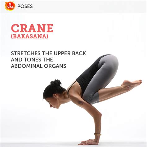 yogapose crane clarity crane pose poses yoga poses