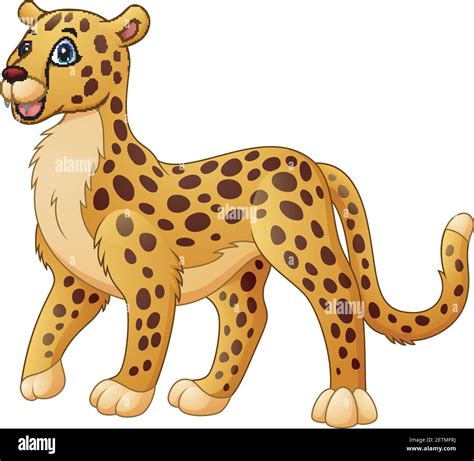 vector illustration  cartoon funny cheetah stock vector image art