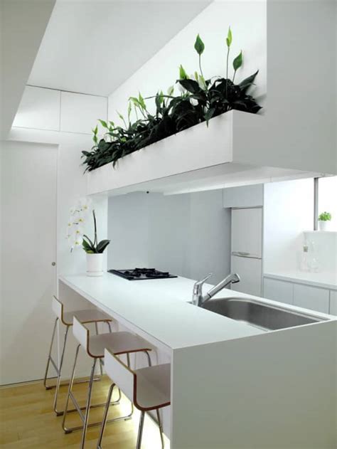 contemporary japanese home design  mansion  bakoko
