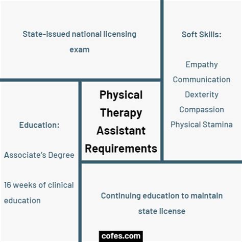 physical therapy assistant job description salary duties and more 2023
