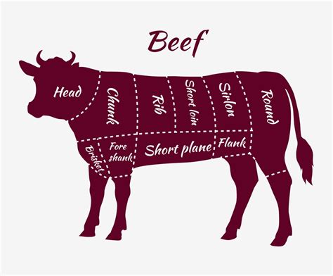 understanding primal cuts  american beef grading