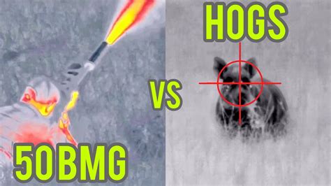 cal hog hunting thermal drone hunting youtube
