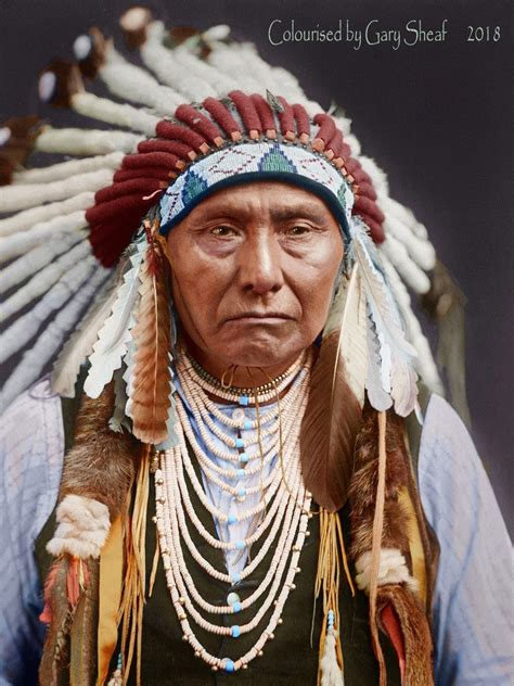native american chief native american symbols native american history