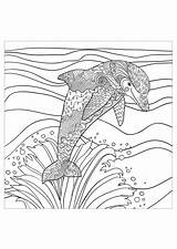 Dolphin Coloring Waves Dolphins Sea Adult Pages Majestic Coming Water sketch template