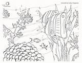 Oceanconservancy Conservancy Fisheries Algae Coral sketch template