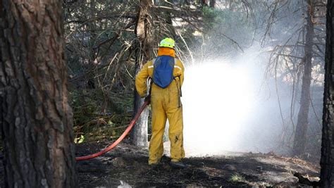 Marlborough Fire Crews Extinguish Another Suspicious Blaze Nz