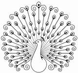 Peacock Drawing Outline Coloring Pages Vector Painting Dot Choose Board sketch template