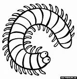 Coloring Millipede Centipede Pages Insect Color Clipart Creepy Cartoon Centipedes Crawlers Colouring Clip Insects Kids Print Sheets Millipedes Animals Colour sketch template
