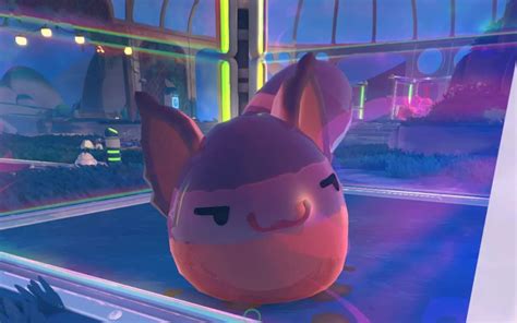 slime rancher  guide    ringtail slimes fast