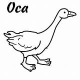 Ocas Oca sketch template