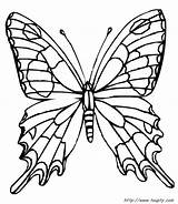 Coloring Papillon Pages Dessin Para Butterflies Ecosia Butterfly Borboletas Colorir Salvo Print sketch template