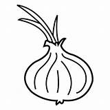 Cebolla Cebollas Ceapa Verduras Colorat Desene Aprender Aporta Pueda Utililidad Deseo Alimentos sketch template
