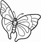 Kolorowanki Motyle Butterfly sketch template