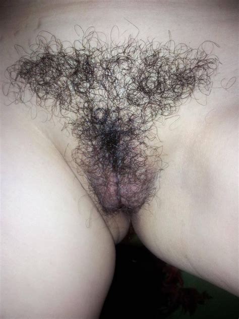 hong kong bush hairy pussy hardcore pictures pictures