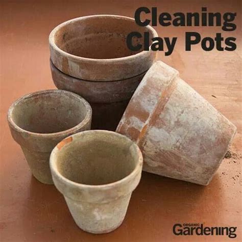 cleaning clay pots clay pots clay pot