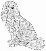Adulte Teckel Saucisse Relaxing Antistress Zentangle 30seconds Indiaparenting Clifford Getcolorings sketch template