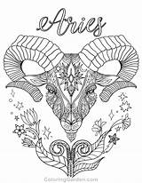 Coloring Aries Pages Zodiac Printable Signs Adult Adults Coloringgarden Pdf Printables Colouring Color Ram Gemini Sign Print Drawing Book Sheets sketch template