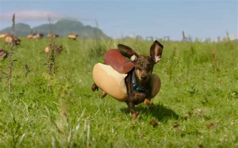 heinz hereby wins the super bowl ad game with this total