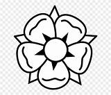 Tudor Rose Draw Easy Clipart Coloring Ume Blossom sketch template