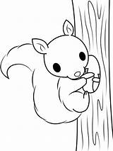 Eekhoorn Klimt Kleurplaten Leukekleurplaten Eekhoorns Kleur Schattige Coloringpage één Eikel sketch template
