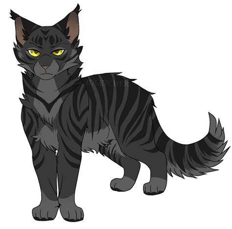 dark boy  thstlewng  deviantart warrior cat drawings warrior