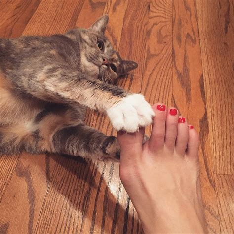 Jennifer Holland S Feet