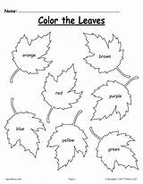 Worksheet Leaves Preschoolers Supplyme Strengthen Kindergartners Themed sketch template