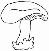 Coloring Pages Mushrooms Mushroom sketch template