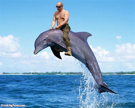 Vladimir Putin Riding A Dolphin Pictures