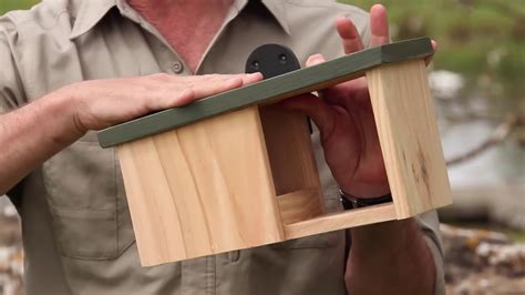 simon king wooden robin nestbox youtube