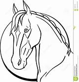 Horse Coloring Teke Drawing Head Moon Line Akhal Background Preview sketch template