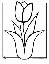 Outline Tulip Clip Clipart Coloring sketch template