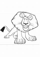 Coloring Madagascar Lion sketch template