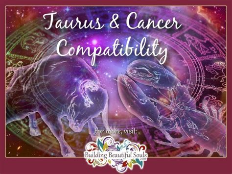 Taurus And Cancer Compatibility Friendship Love And Sex