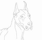 Coloring Dane Great Pages Dogs Danes Template Lineart Deviantart Sketch Comments sketch template
