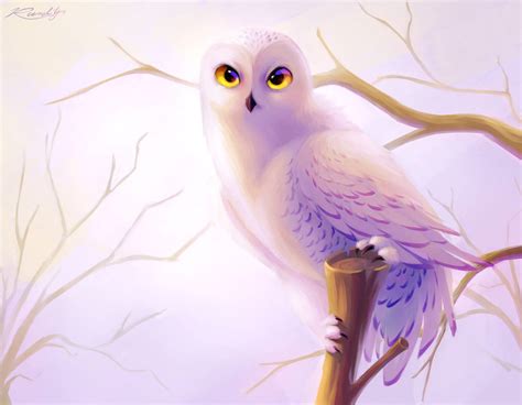 snowy owl  tqonb  deviantart