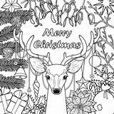 Adults Reindeer Coloriage Kerst Imprimer Kleurplaat Everfreecoloring Davemelillo Volwassenen Bron sketch template