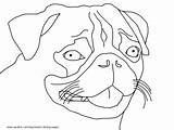 Coloring Pages Pointer Shorthaired German Getdrawings sketch template